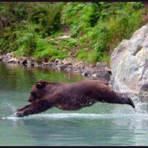 483694_10100188109379229_1846433303_n